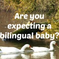 Are you expecting a bilingual baby
